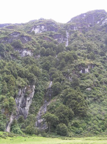 newzealandwanakaeastmatukitukivalleytrack36.jpg