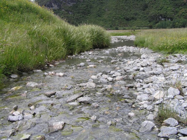 newzealandwanakaeastmatukitukivalleytrack40.jpg