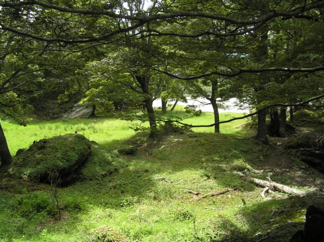 newzealandwanakaeastmatukitukivalleytrack65.jpg