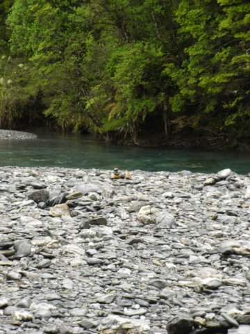 newzealandwanakatofranzjosef13.jpg