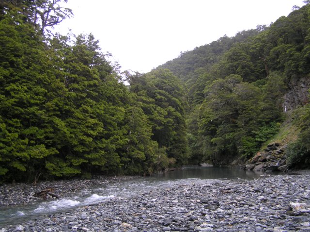 newzealandwanakatofranzjosef6.jpg