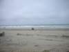 bnewzealandchristchurchnewbrightonbeach_small.jpg