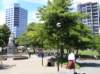 newzealandchristchurch41_small.jpg