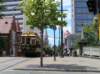 newzealandchristchurch48_small.jpg