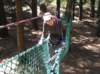 newzealandchristchurch59_small.jpg