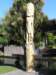 newzealandchristchurch6_small.jpg