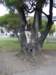 newzealandchristchurchakaroa20_small.jpg
