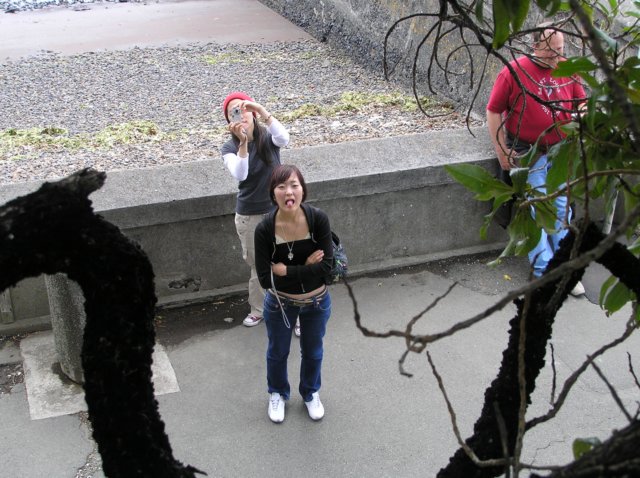 newzealandchristchurchakaroa21.jpg