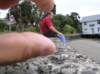 newzealandchristchurchakaroa25_small.jpg