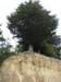 newzealandchristchurchakaroa27_small.jpg
