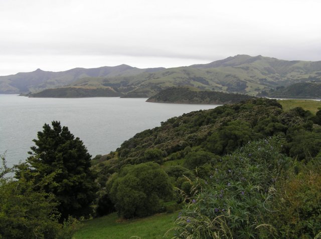 newzealandchristchurchakaroa38.jpg