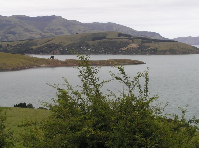 newzealandchristchurchakaroa43.jpg