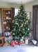 newzealandchristchurchmyhostfamilyshouse_small.jpg