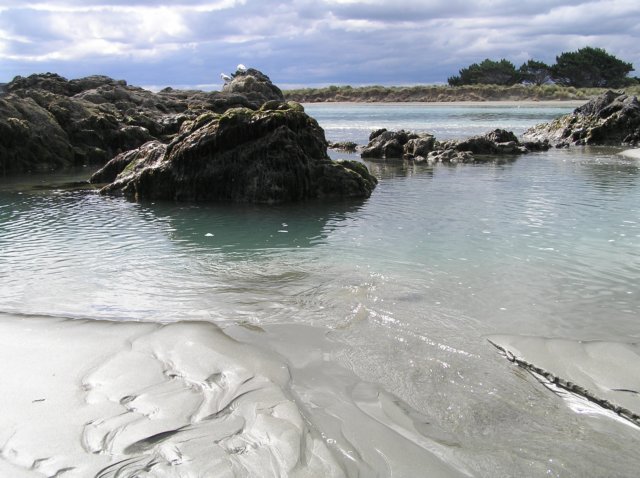 newzealandchristchurchsumnerbeach13.jpg