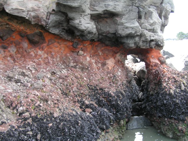 newzealandchristchurchsumnerbeach14.jpg