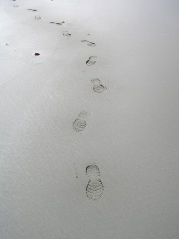 newzealandchristchurchsumnerbeach17.jpg