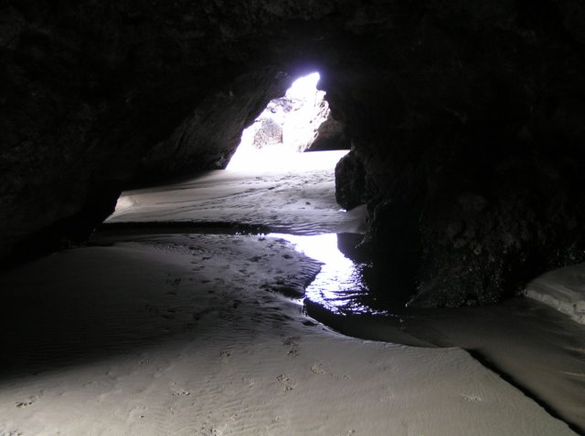 newzealandchristchurchsumnerbeach21.jpg