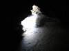 newzealandchristchurchsumnerbeach22_small.jpg
