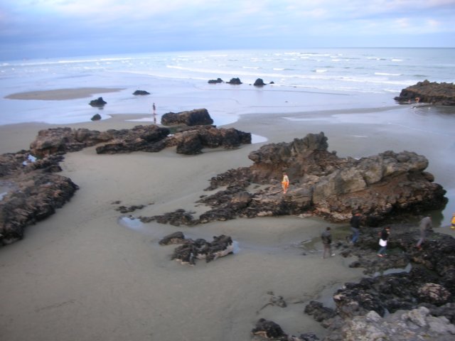 newzealandchristchurchsumnerbeach5.jpg