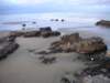 newzealandchristchurchsumnerbeach5_small.jpg