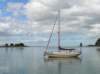 newzealandchristchurchsumnerbeach7_small.jpg