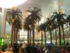 newzealanddubaiairport2_small.jpg