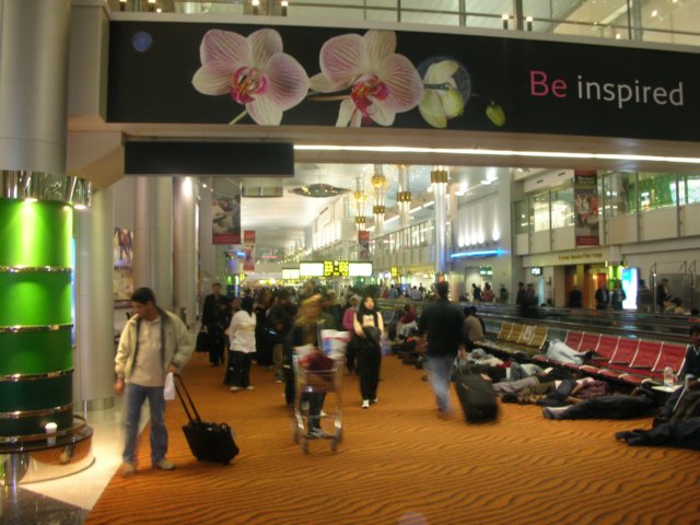 newzealanddubaiairport3.jpg