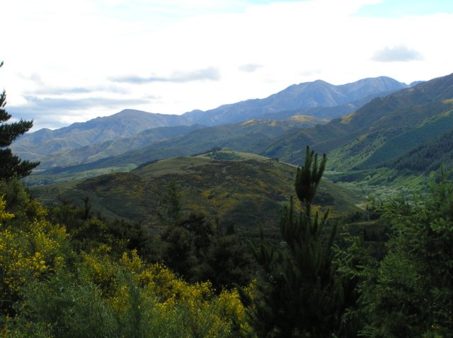 newzealandhamnersprings25.jpg