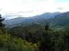 newzealandhamnersprings25_small.jpg