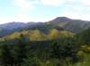 newzealandhamnersprings26_small.jpg