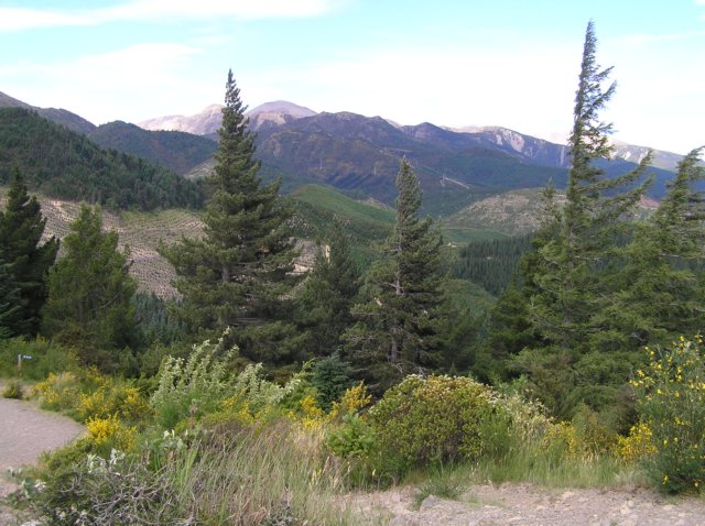 newzealandhamnersprings34.jpg
