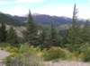 newzealandhamnersprings34_small.jpg