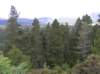 newzealandhamnersprings35_small.jpg