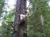 newzealandhamnersprings37_small.jpg