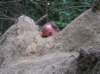 newzealandhamnersprings39_small.jpg
