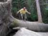 newzealandhamnersprings40_small.jpg