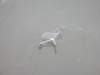 nnewzealandchristchurchnewbrightonbeach_small.jpg