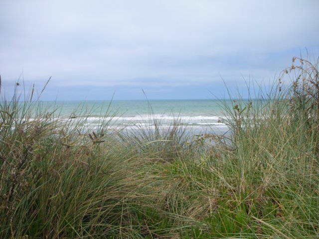 wnewzealandchristchurchnewbrightonbeach.jpg