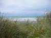 wnewzealandchristchurchnewbrightonbeach_small.jpg