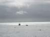 anewzealandkaiteriteriabeltasmannationalpark_small.jpg