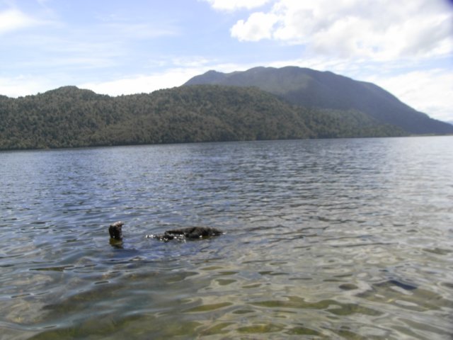 bnewzealandlakebrunner.jpg