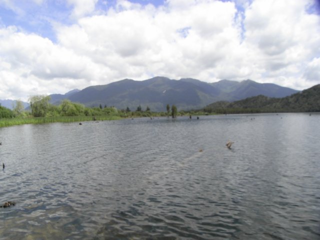 dnewzealandlakebrunner.jpg