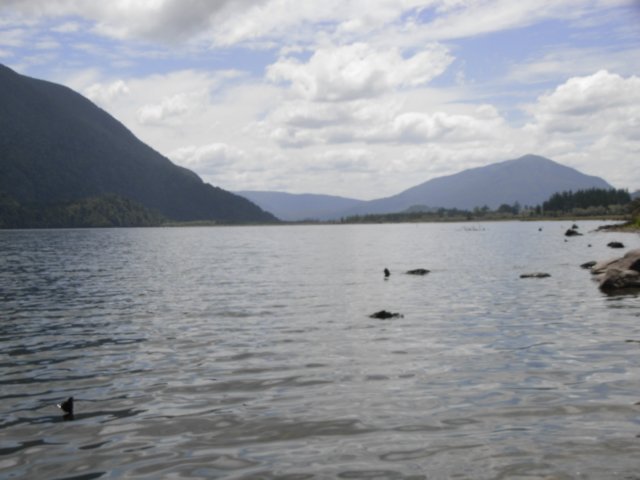 hnewzealandlakebrunner.jpg