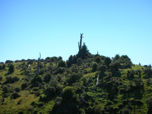 newzealandabeltasmannationalparktoharwoodshole.jpg