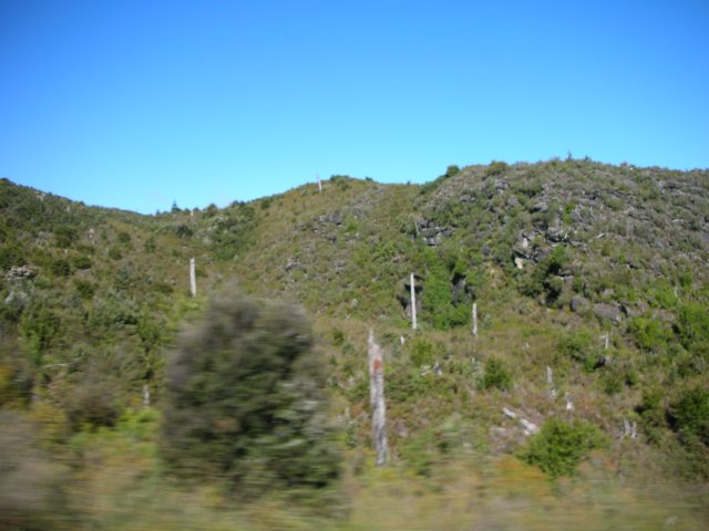 newzealandabeltasmannationalparktoharwoodshole4.jpg