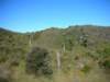 newzealandabeltasmannationalparktoharwoodshole4_small.jpg