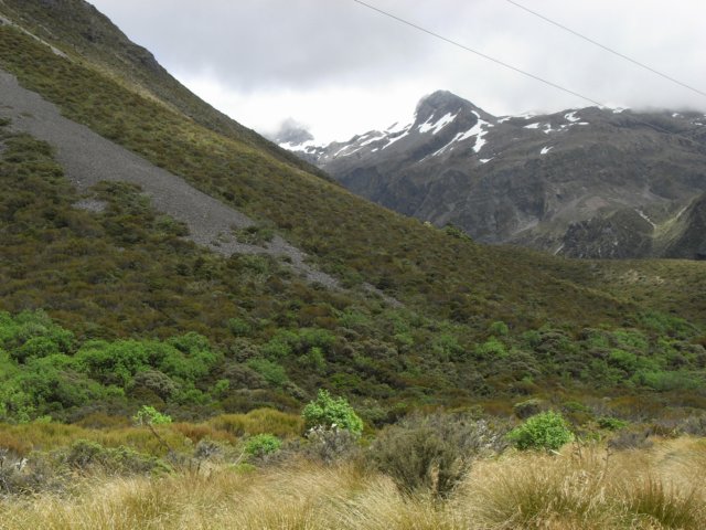 newzealandarthurspass17.jpg