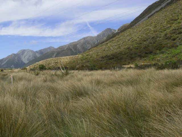 newzealandarthurspass18.jpg