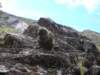 newzealandarthurspass35_small.jpg