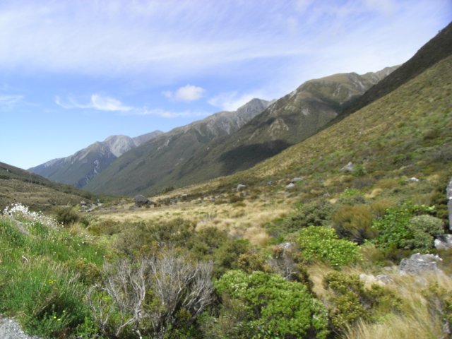 newzealandarthurspass7.jpg